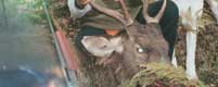 frontpage_12