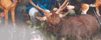 frontpage_23